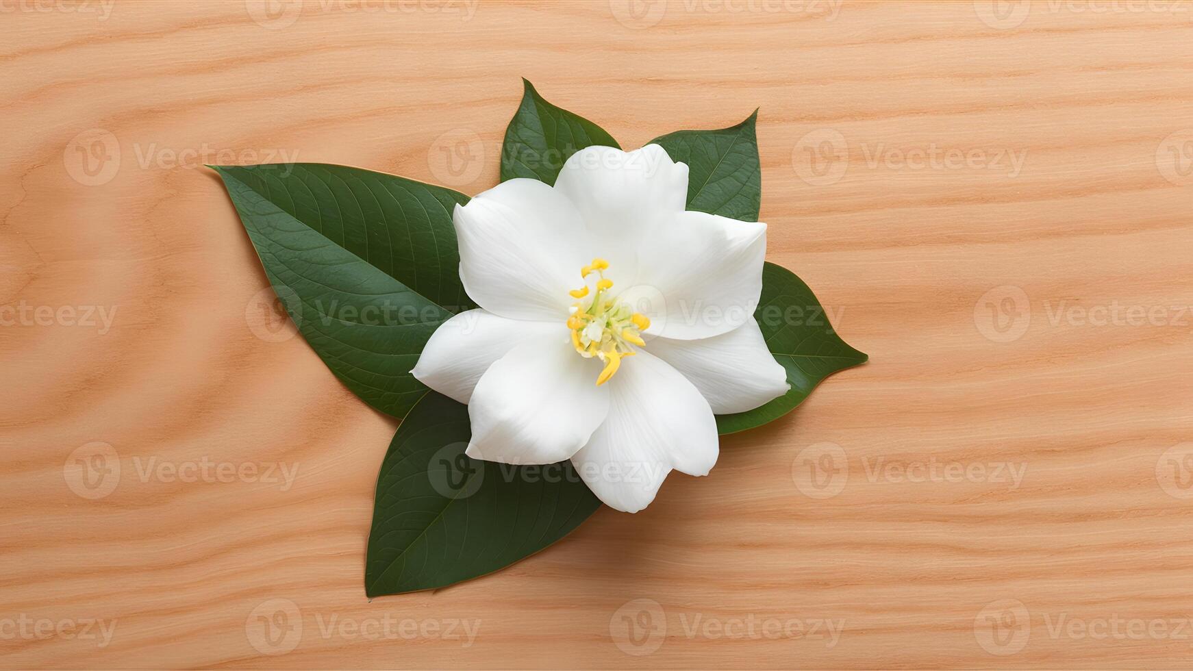 ai generato gelsomino bianca fiore isolato contro un' pulito legna sfondo foto