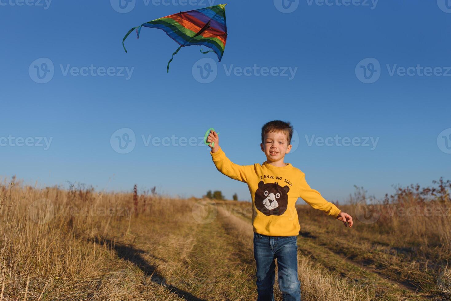 poco ragazzo giocando con aquilone su prato. infanzia concetto foto