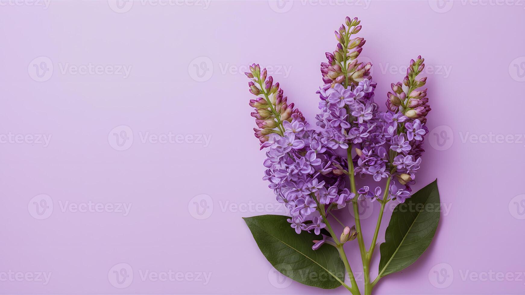 ai generato bellissimo lilla fiori isolato contro un' puro bianca fondale foto