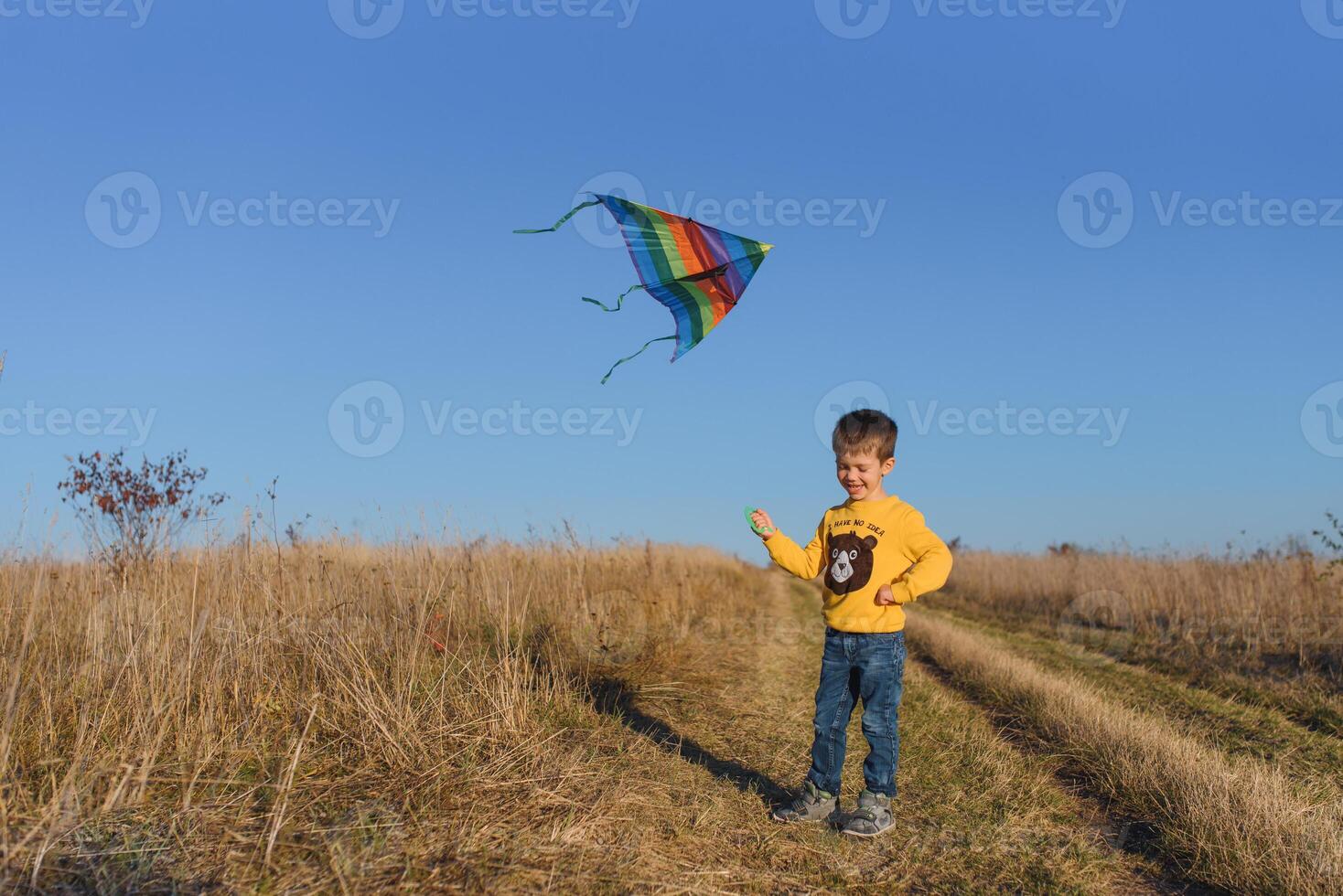 poco ragazzo giocando con aquilone su prato. infanzia concetto foto