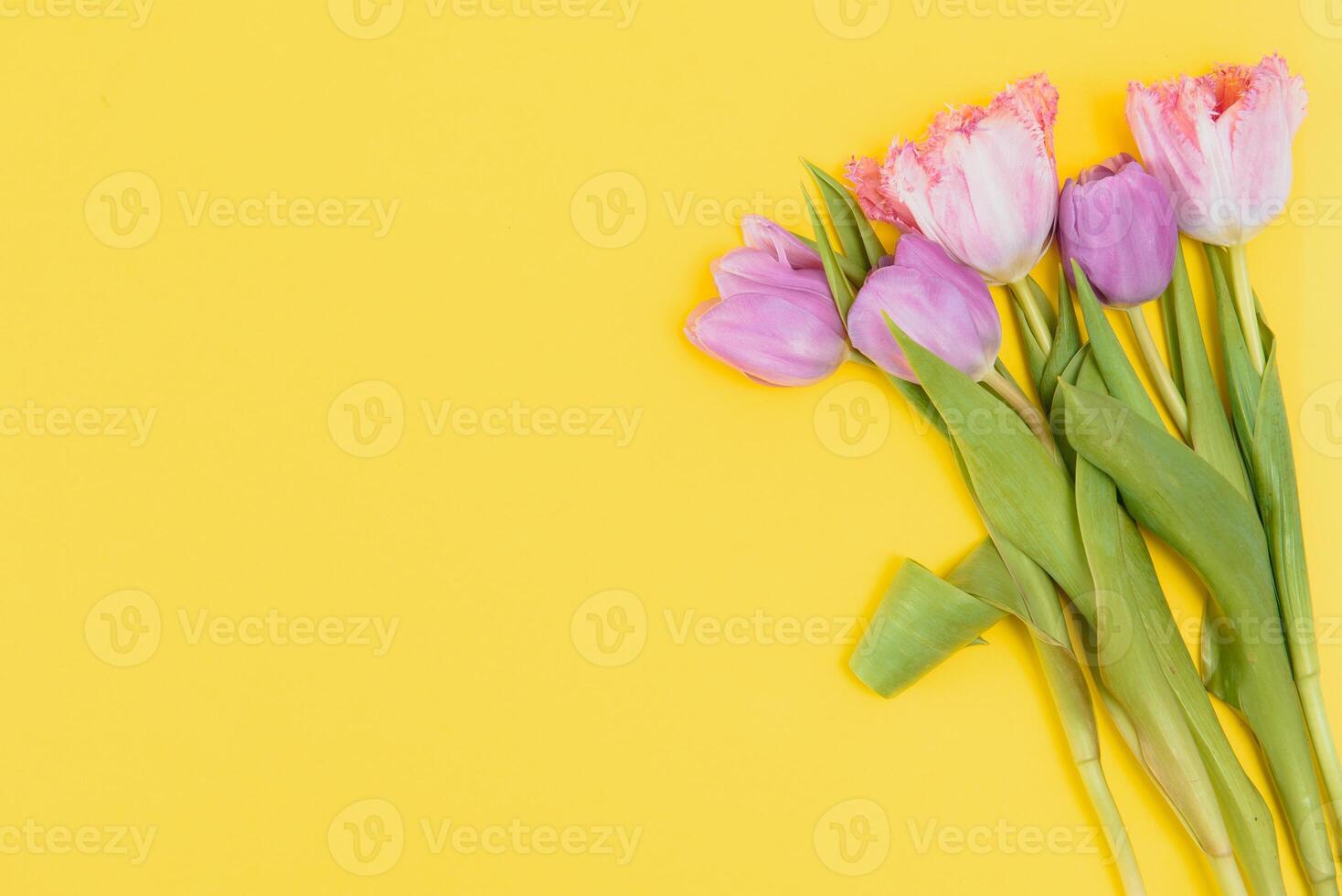 fresco primavera tulipani fiori concetto donna di giorno saluto carta La madre di giorno san valentino giallo sfondo naturale leggero selettivo messa a fuoco foto