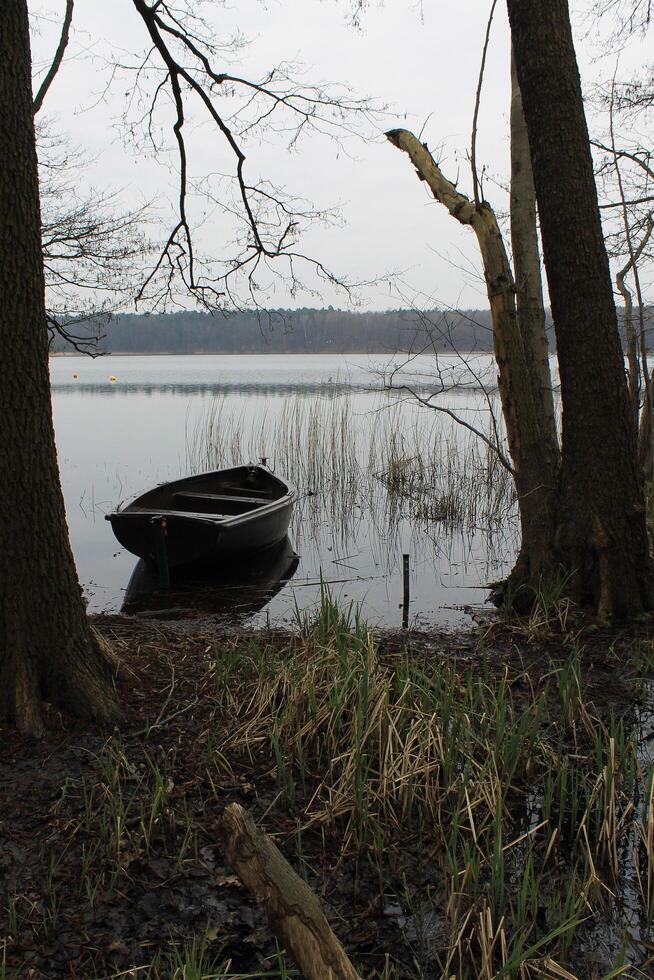 semplice natura foto