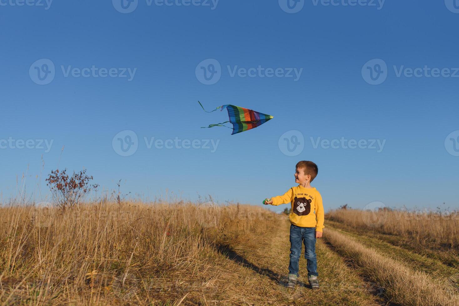 poco ragazzo con aquilone volante al di sopra di il suo testa foto