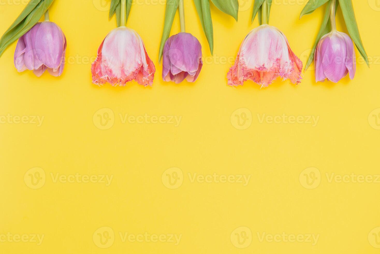 estate primavera tulipani su giallo sfondo foto