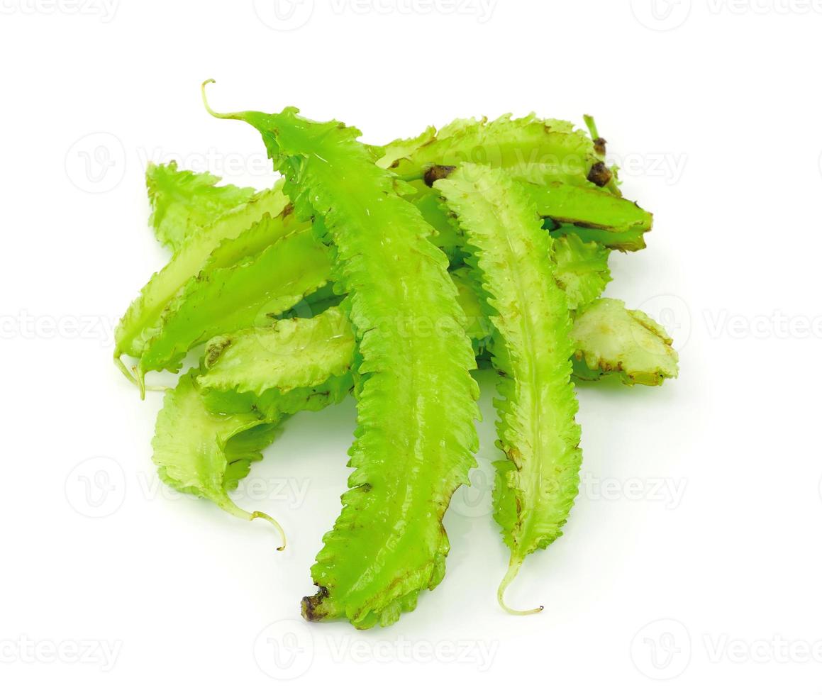 Fagioli alati verdi, verdura isolata su sfondo bianco foto