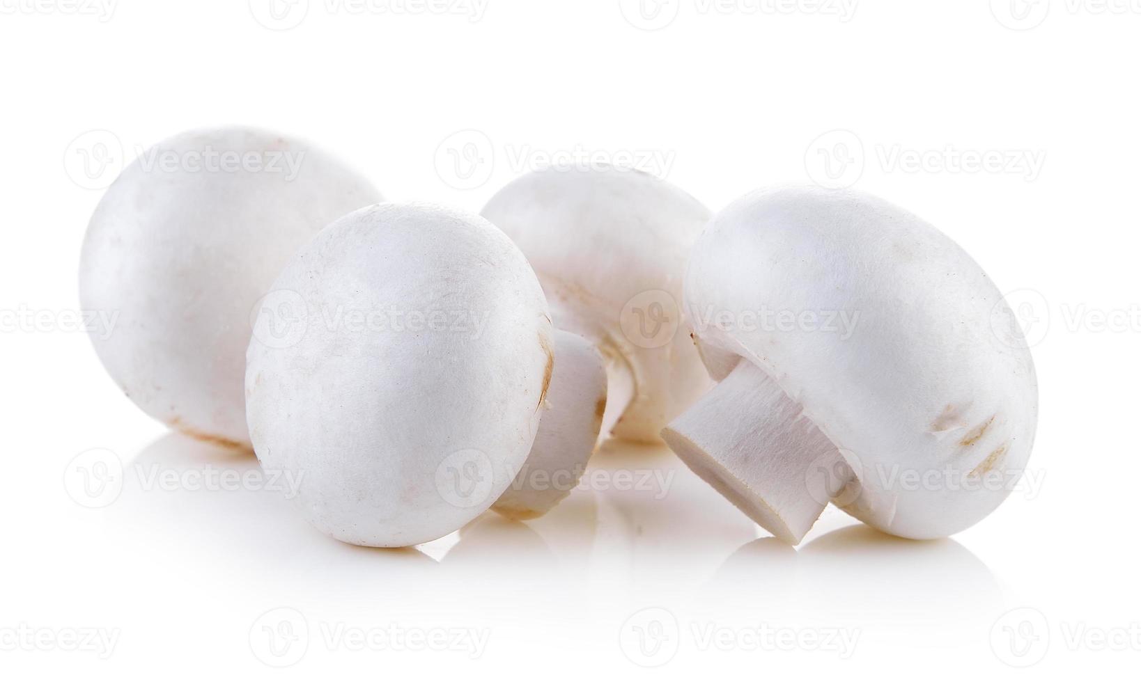 fungo champignon isolato su sfondo bianco foto