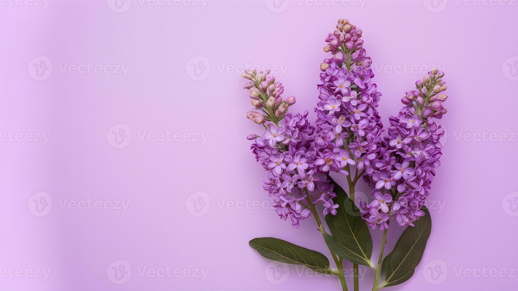 ai generato bellissimo lilla fiori isolato contro un' puro bianca fondale foto