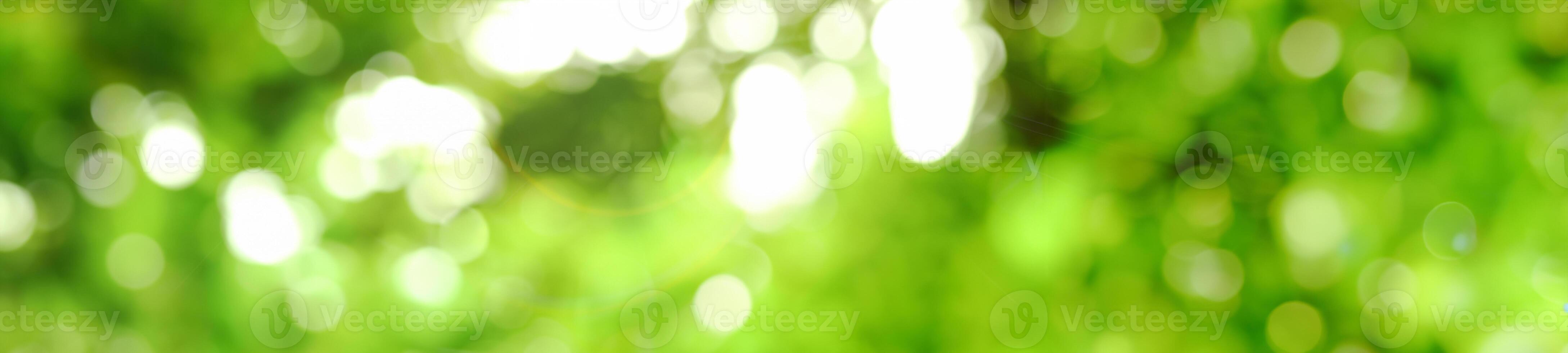 tranquillo verde, vivace foglia in mezzo un' morbido foschia. foto