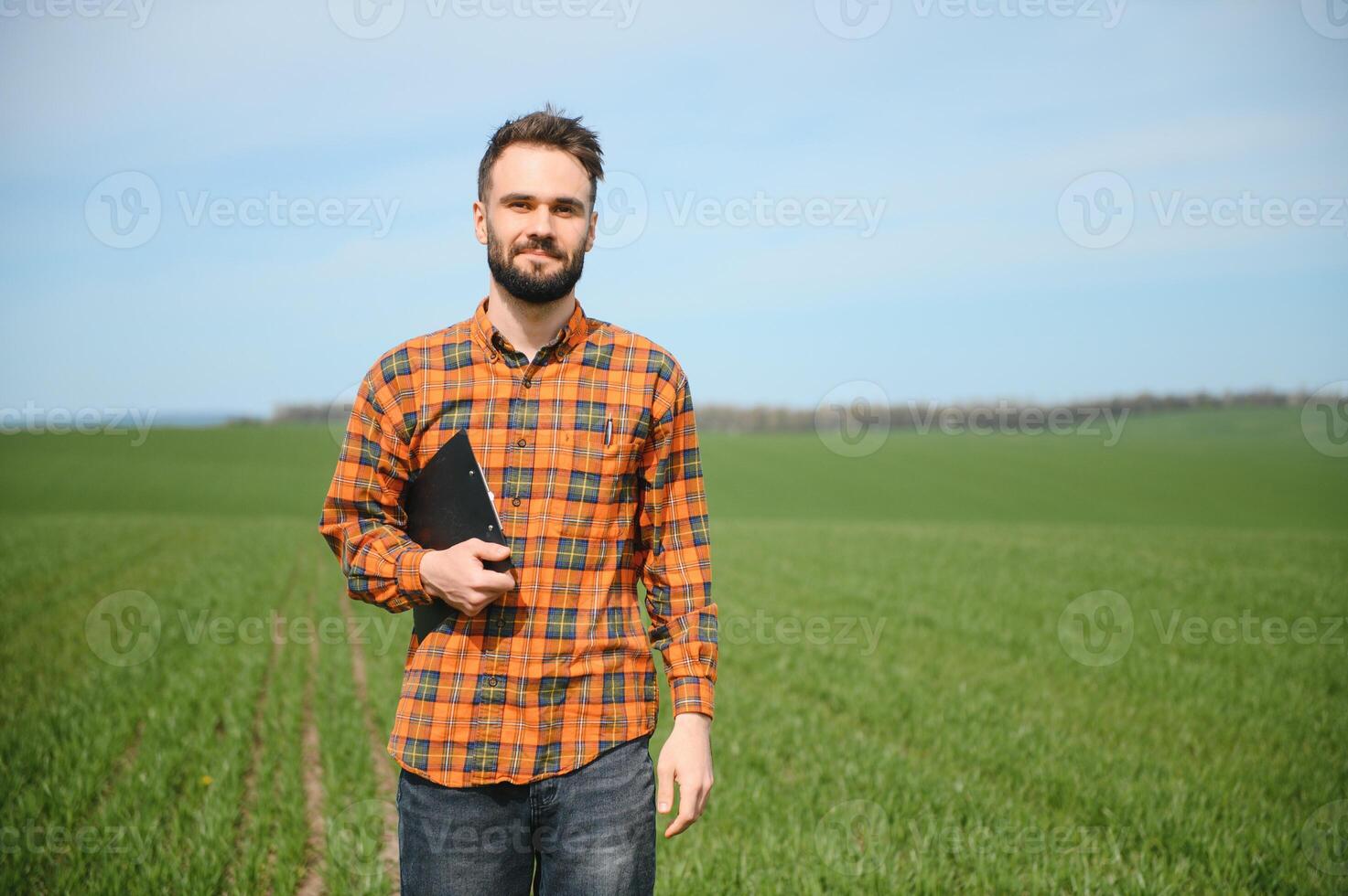 un' giovane contadino ispeziona il qualità di Grano germogli nel il campo. il concetto di agricoltura foto