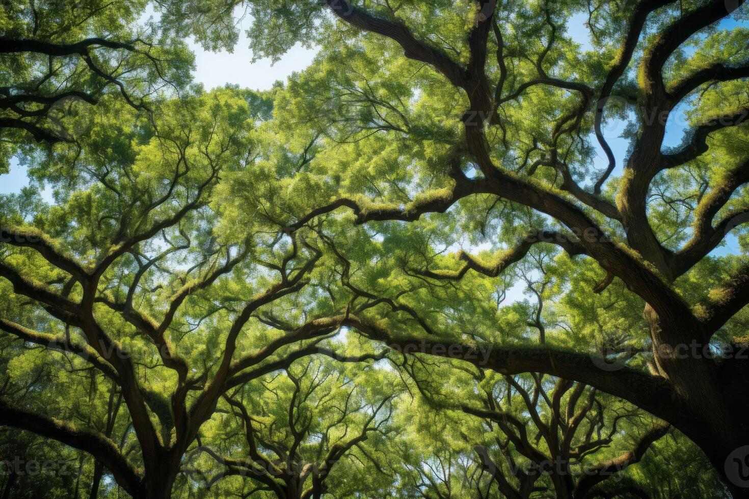 ai generato torreggiante quercia alberi formatura un degno di nota baldacchino. generativo ai foto