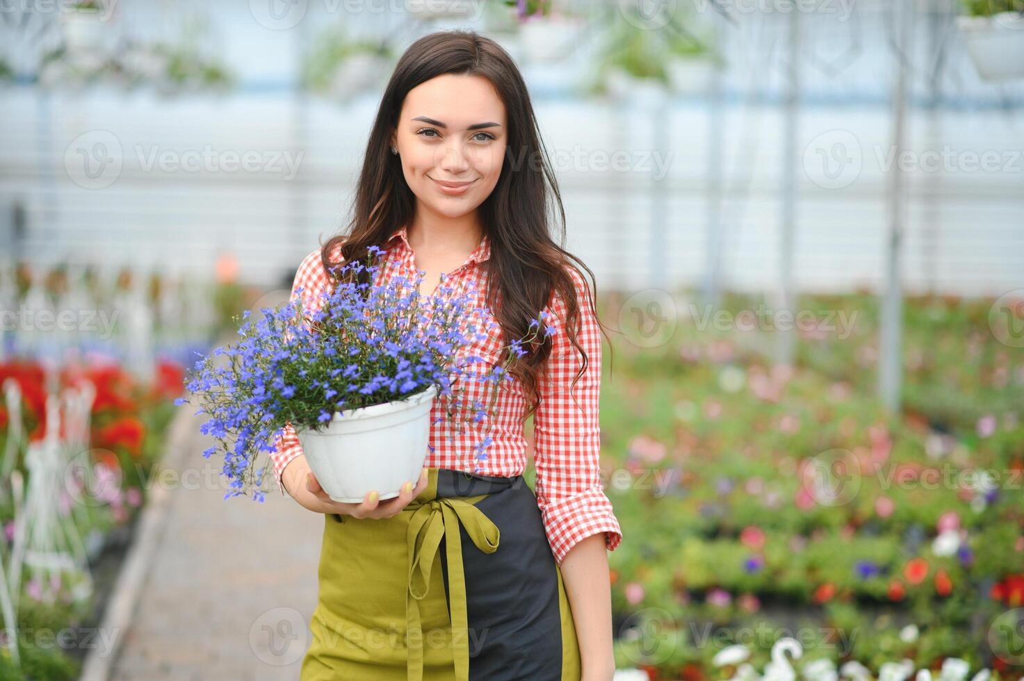 pianta cura, in crescita piante d'appartamento per saldi. femmina fioraio cura per pianta asilo con succulente. giardinaggio attività commerciale, fiore negozio di Al dettaglio memorizzare concetto. giardiniere Lavorando, irriconoscibile avvicinamento foto