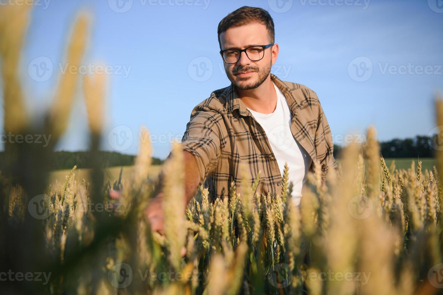 contadino nel Grano campo a raccogliere foto