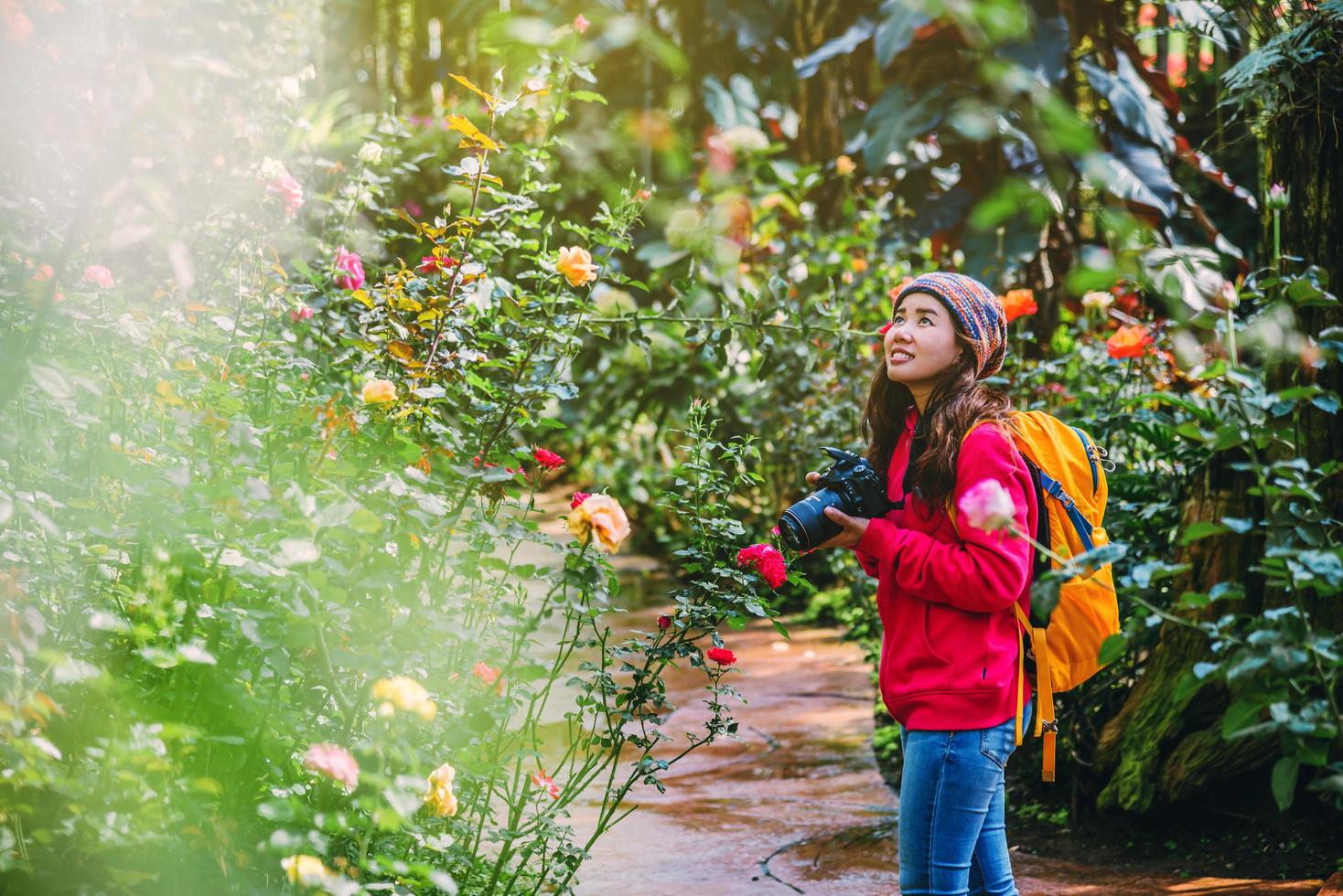 viaggio natura relax in vacanza. scattare fotografie di rose multicolori nel giardino di rose a doi inthanon chiangmai.