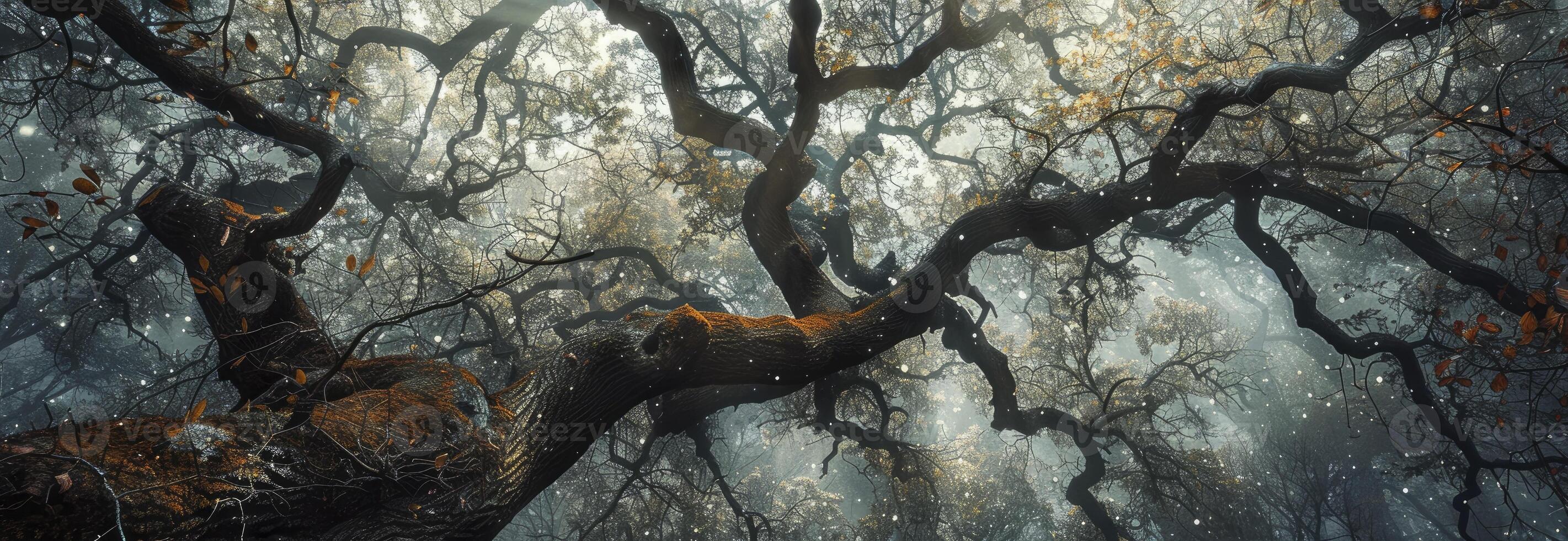 ai generato contorto albero rami nel un vecchio quercia foresta foto