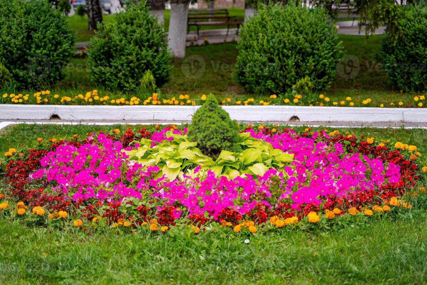 rosa, giallo bianca fiori e verde erba. panoramico Visualizza di colorato aiuole. lussureggiante verde erba prato. foto