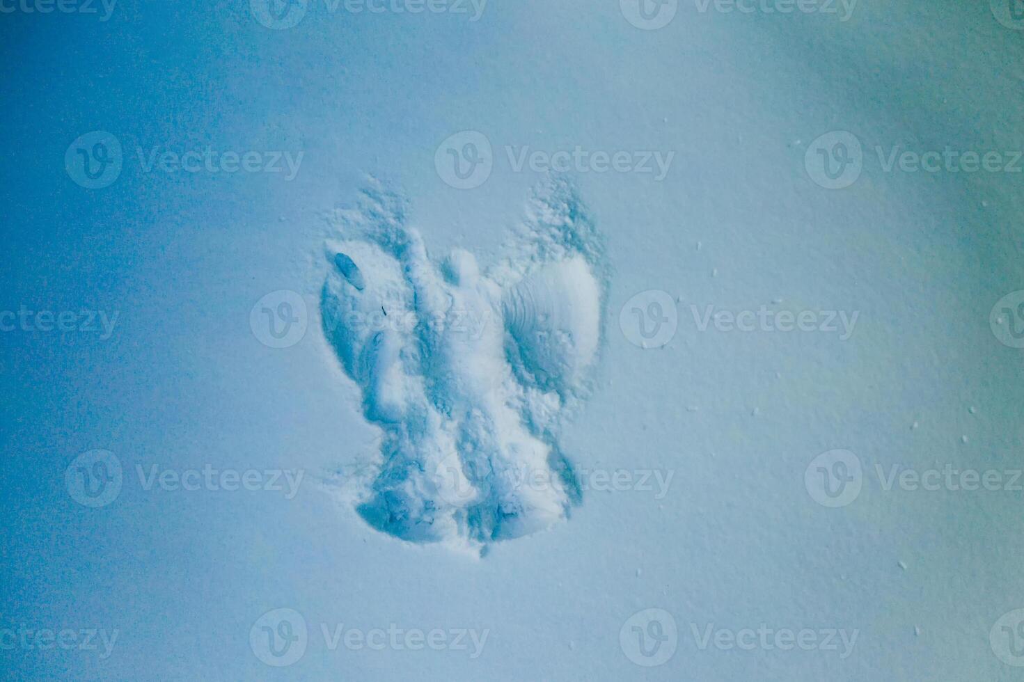 inverno vacanze e Natale concetto. angelo silhouette o Stampa su neve superficie. foto