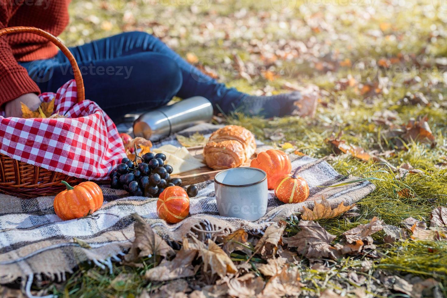 bella donna in maglione rosso durante un picnic in una foresta autunnale foto