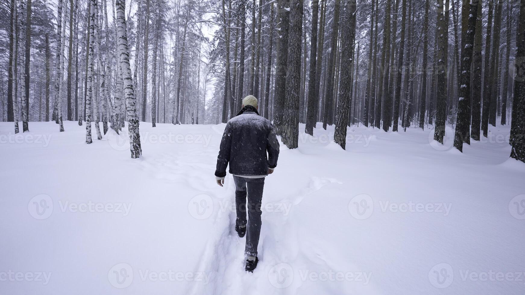 elegante giovane uomo a piedi nel inverno foresta. media. posteriore Visualizza di uomo a piedi nel inverno foresta. a piedi lungo sentiero con caduta neve nel inverno foresta foto