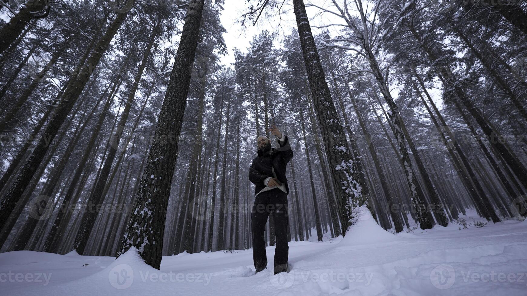 tiro clip nel inverno foresta. media. elegante uomo è rappare nel inverno foresta. uomo si sposta con stile e rap nel inverno foresta. musica video foto