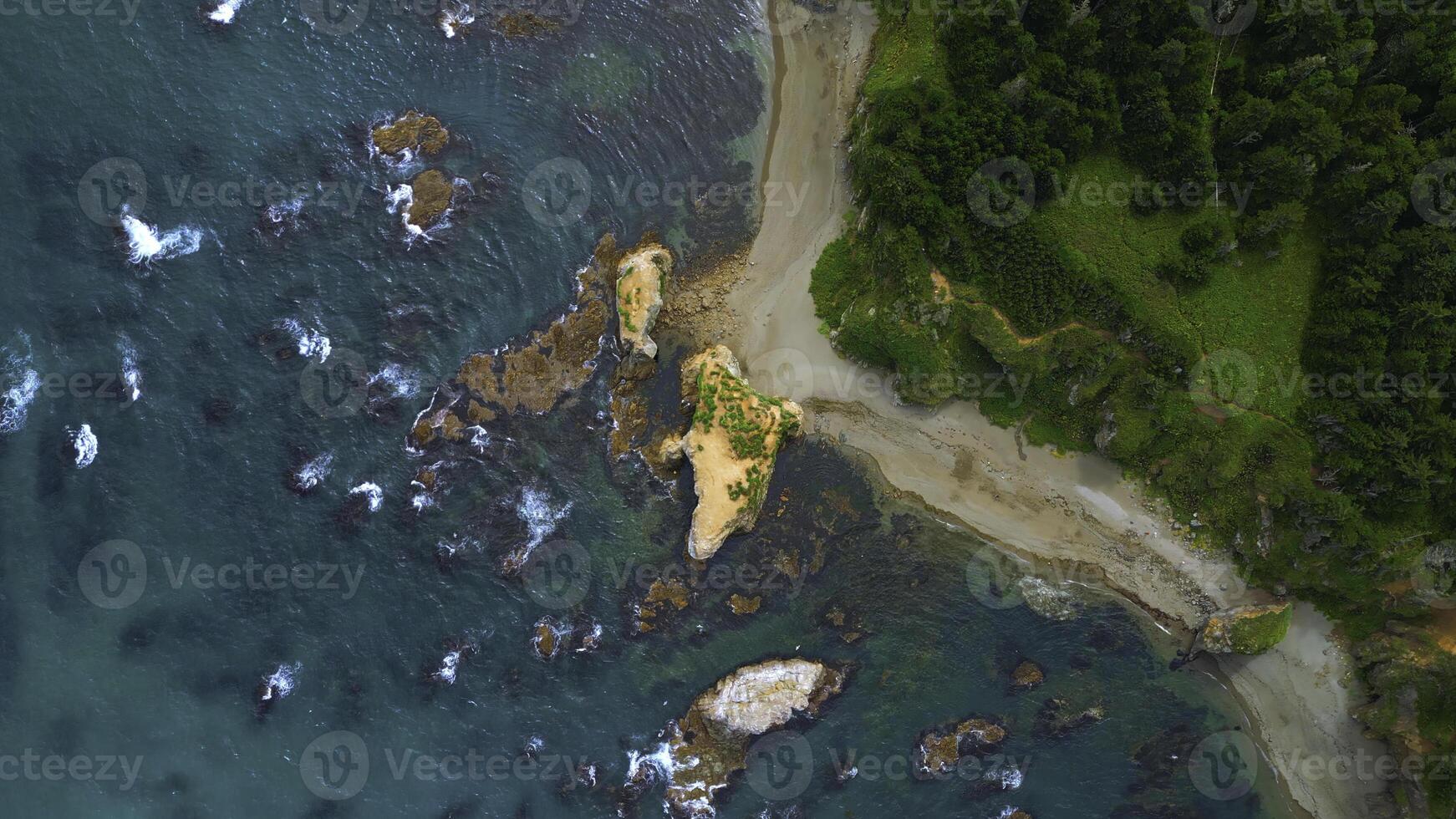 superiore Visualizza di costa con rocce nel acqua e foresta. clip. sorprendente natura di costa con bellissimo rocce e chiaro acqua. selvaggio costa con rocce nel turchese acqua e verde foresta su soleggiato giorno foto