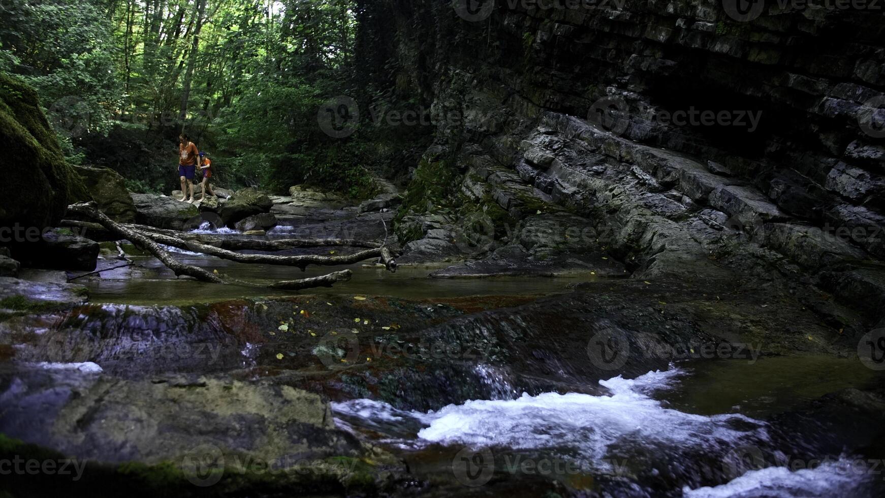 bellissimo estate torrente e verde giungle. creativo. freddo acqua ruscello e persone su il sfondo. foto