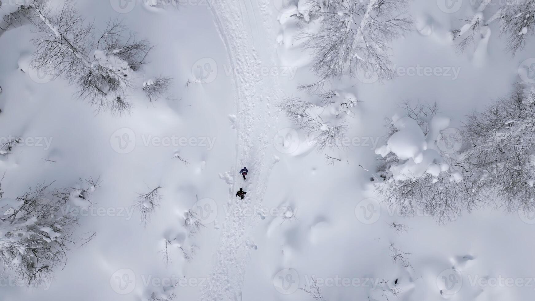 aereo Visualizza di un' uomo a piedi con il suo cane nel in profondità neve nel Austria. clip. panoramico Visualizza di pino albero foresta e neve coperto terra. foto