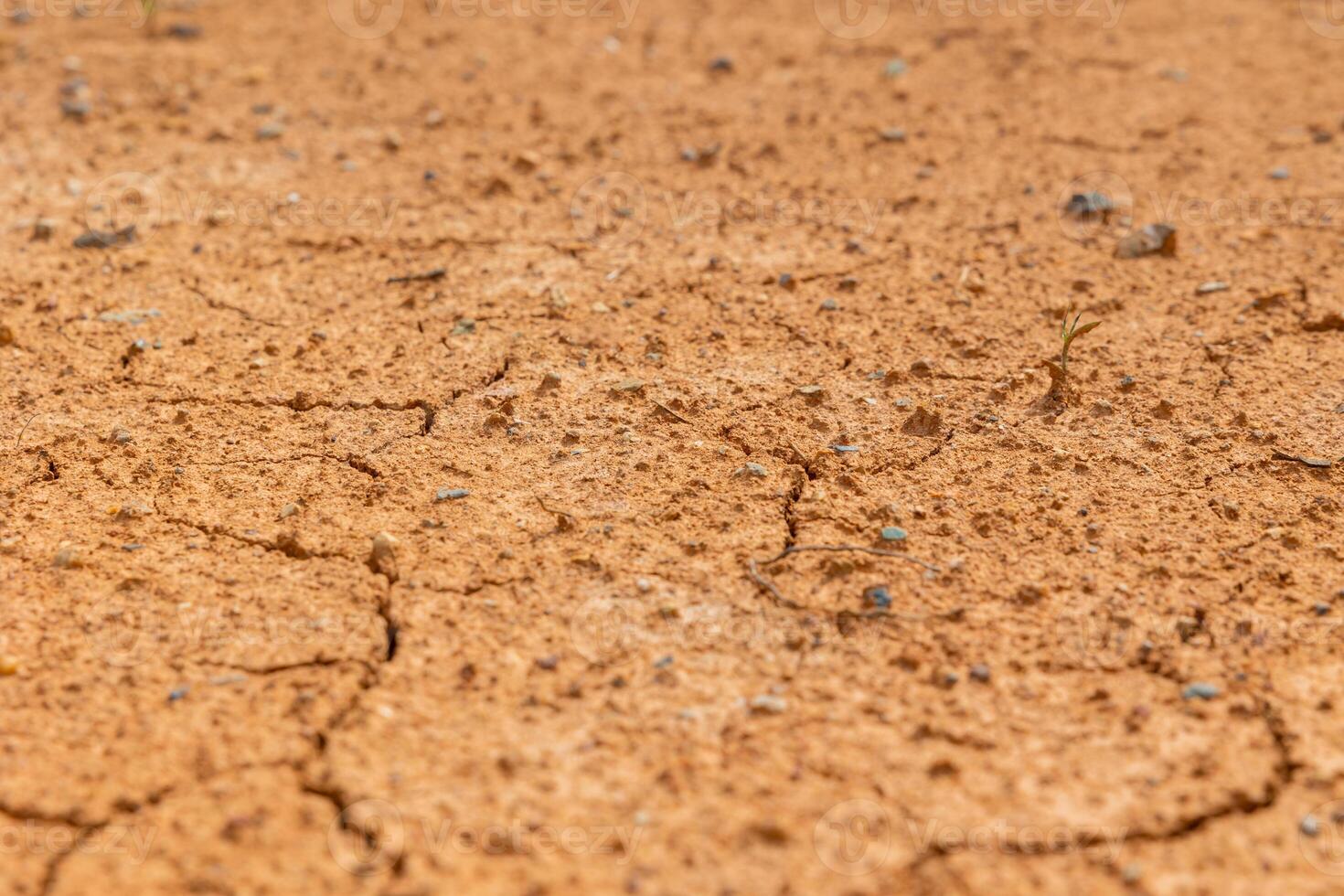 Cracked asciutto terra sfondo foto. siccità concetto foto