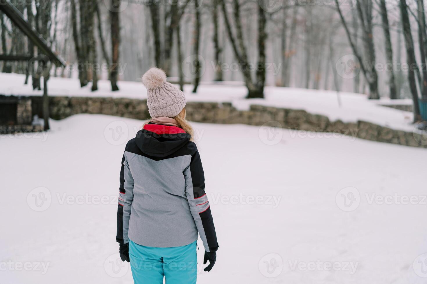 ragazza sta nel un' nevoso foresta e sembra in il distanza. indietro Visualizza foto