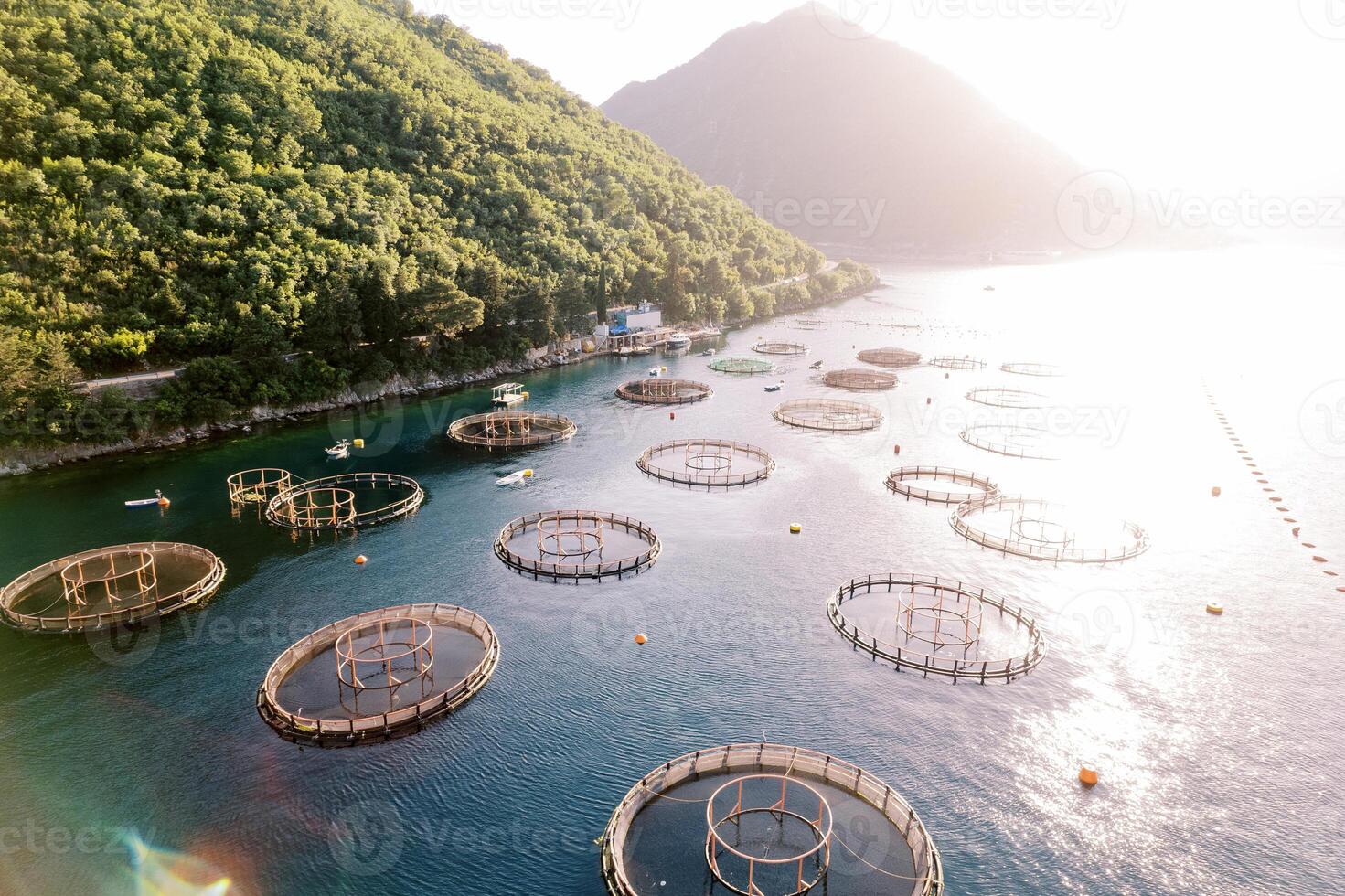 pesce azienda agricola nel il soleggiato mare vicino un' montagnoso costa. fuco foto