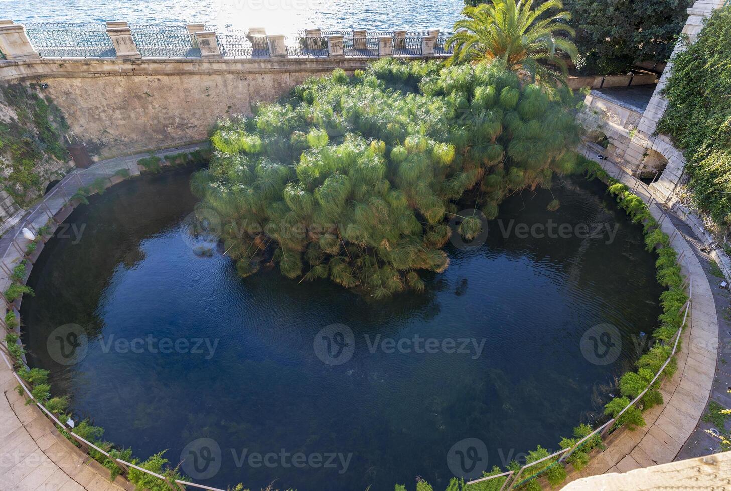 Fontana di aretusa su ortigia isola, un' naturale primavera di fresco acqua nel il posto dove il ninfa aretusa nascosto secondo per greco mitologia foto