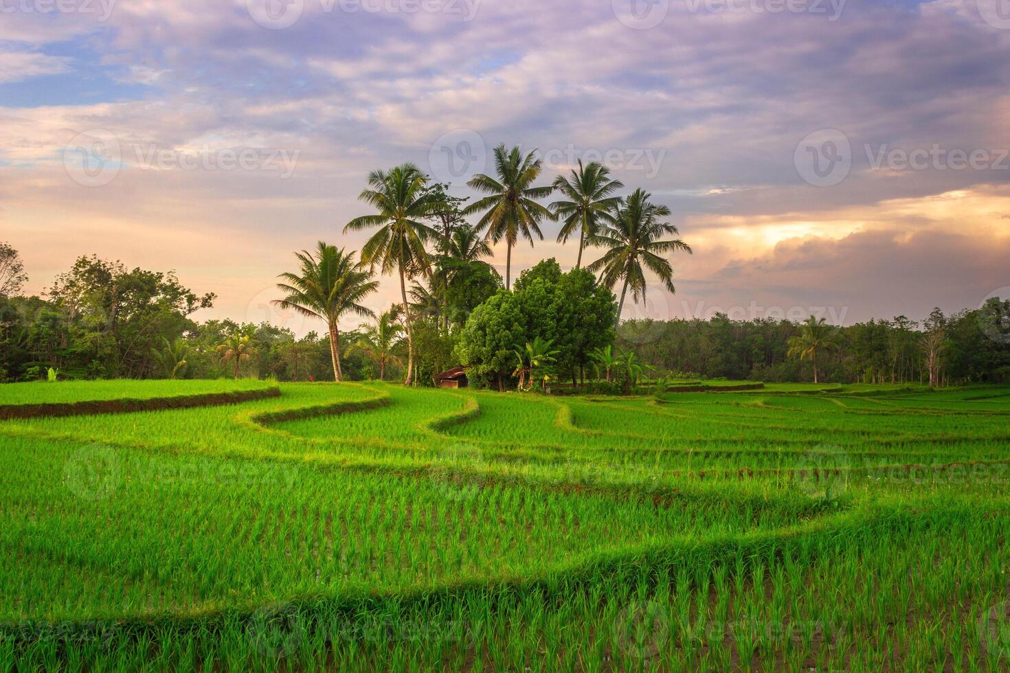 bellissimo mattina Visualizza a partire dal Indonesia di montagne e tropicale foresta foto