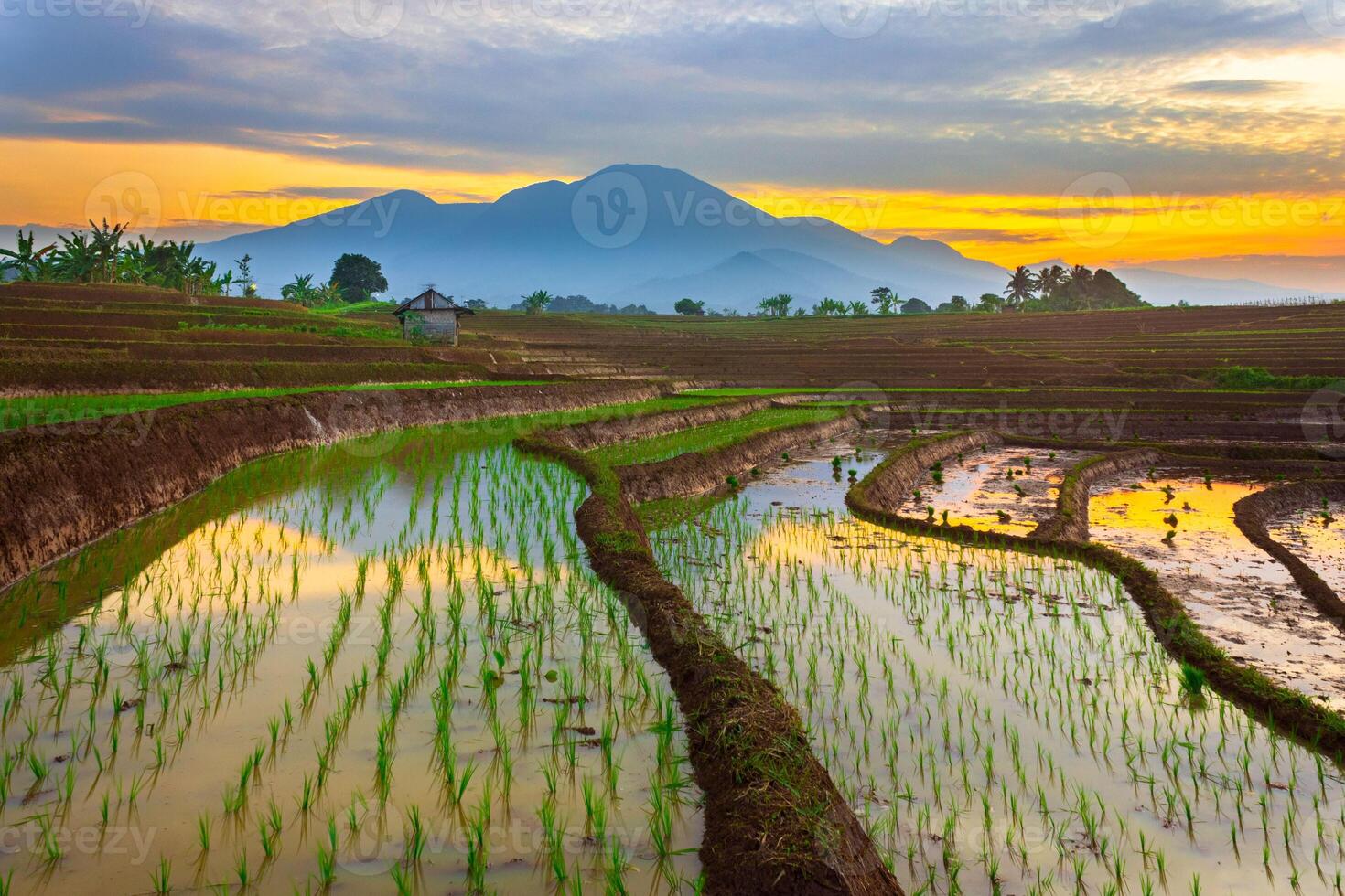 bellissimo mattina Visualizza a partire dal Indonesia di montagne e tropicale foresta foto