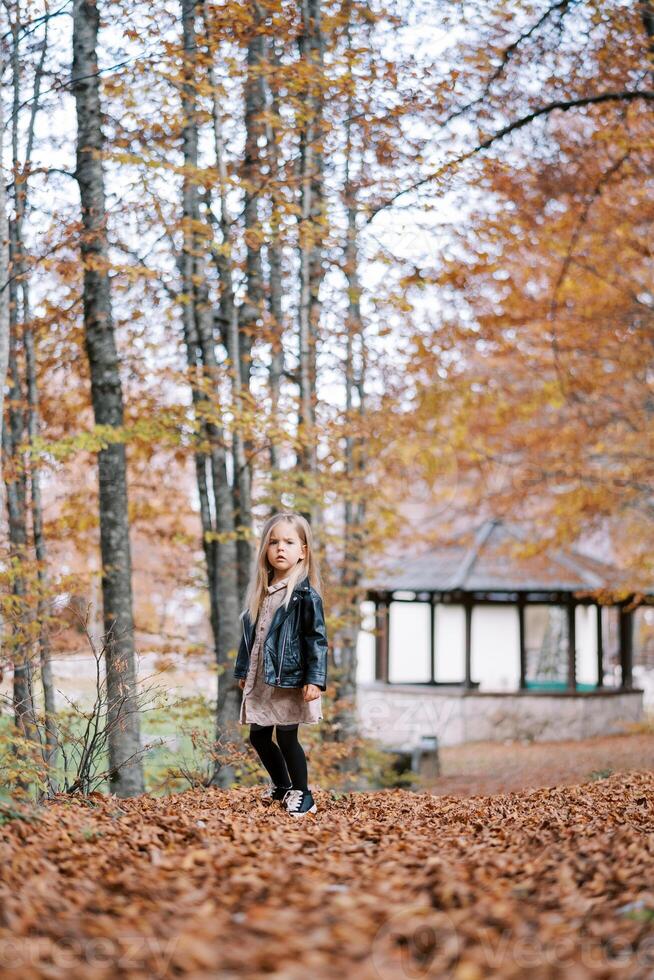 poco ragazza sta mezzo girato nel il autunno foresta, pensieroso guardare in il distanza foto