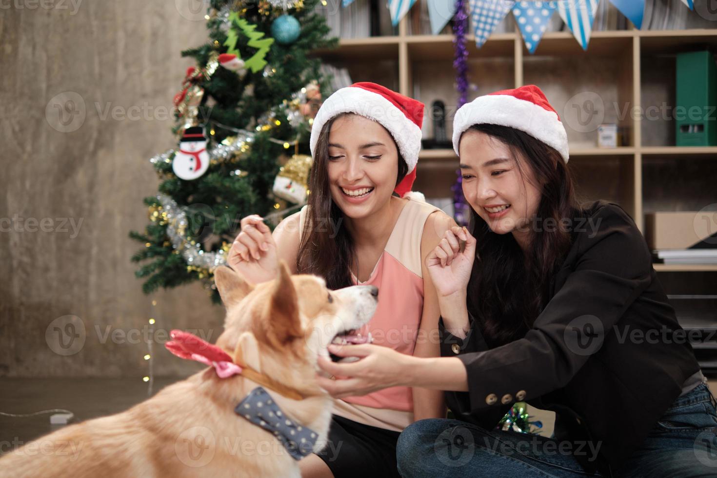 due belle giovani lavoratrici con cappelli rossi stanno stuzzicando un cane a una festa in ufficio, decorative per celebrare la festa di Natale e le vacanze di capodanno. foto