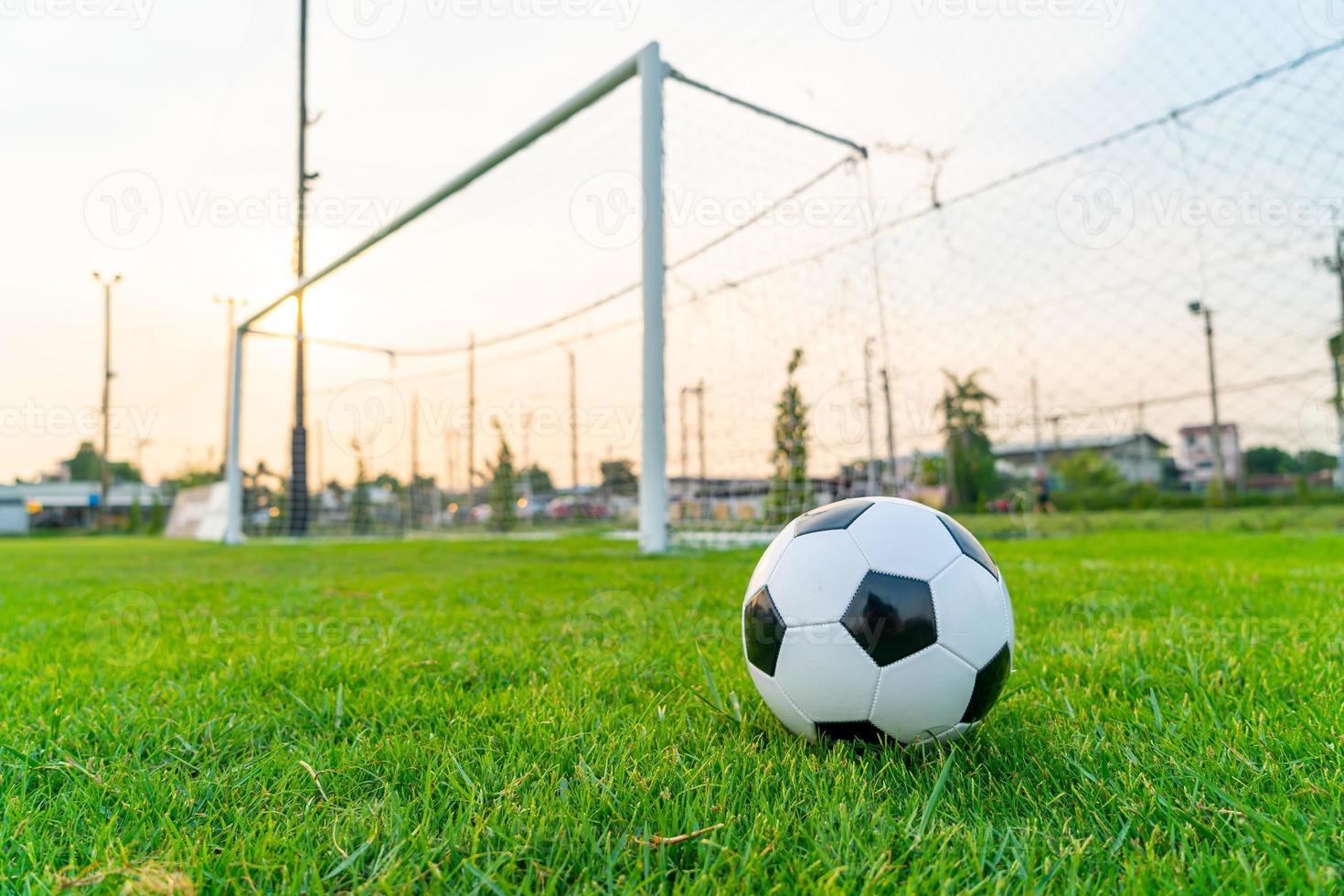 pallone da calcio sul campo da calcio foto