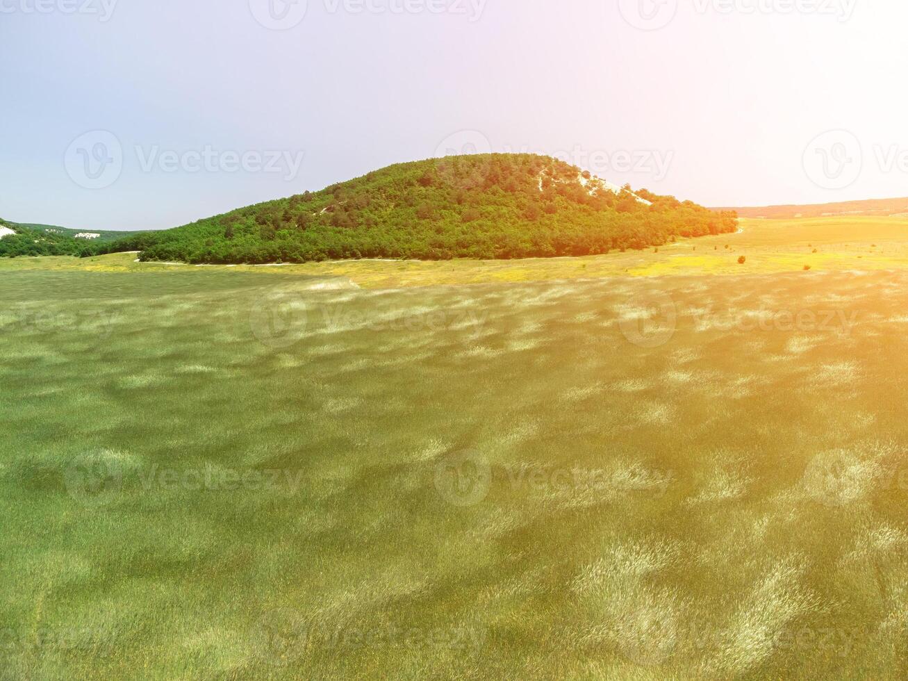 aereo Visualizza su verde Grano campo nel campagna. campo di Grano soffiaggio nel il vento piace verde mare. giovane e verde spighette. orecchie di orzo Ritaglia nel natura. agronomia, industria e cibo produzione. foto