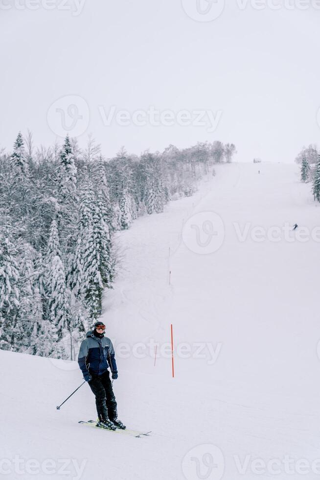 sciatore giri su un' sciare pendenza lungo un' nevoso foresta foto