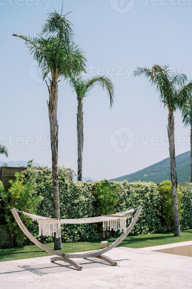 bianca di vimini amaca su un' In piedi si blocca nel il Hotel cortile vicino verde palma alberi foto