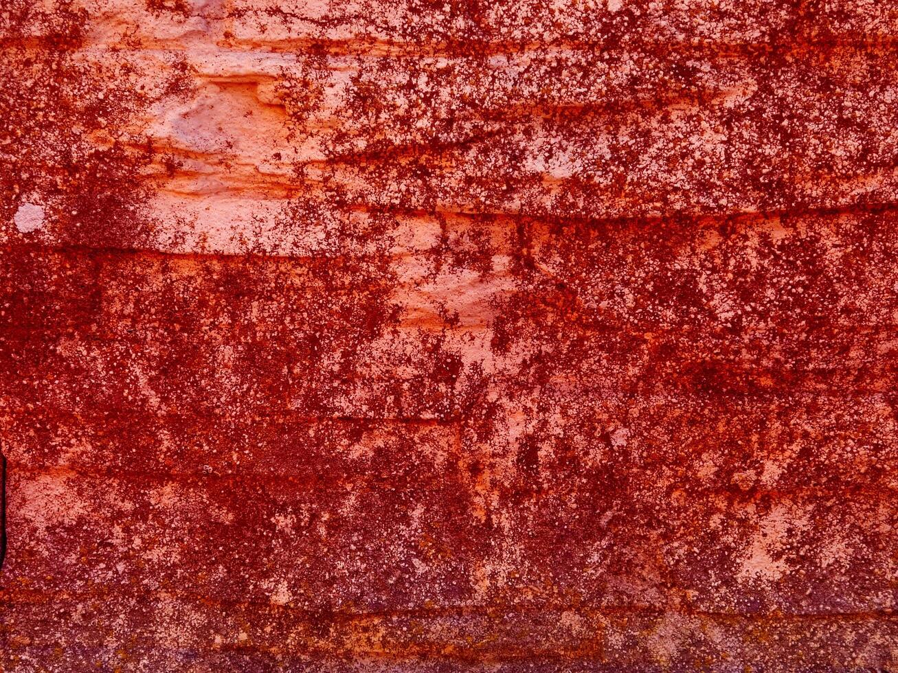 trama di pietra rossa nel giardino foto