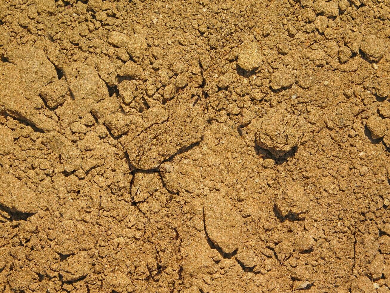 struttura del terreno all'aperto foto