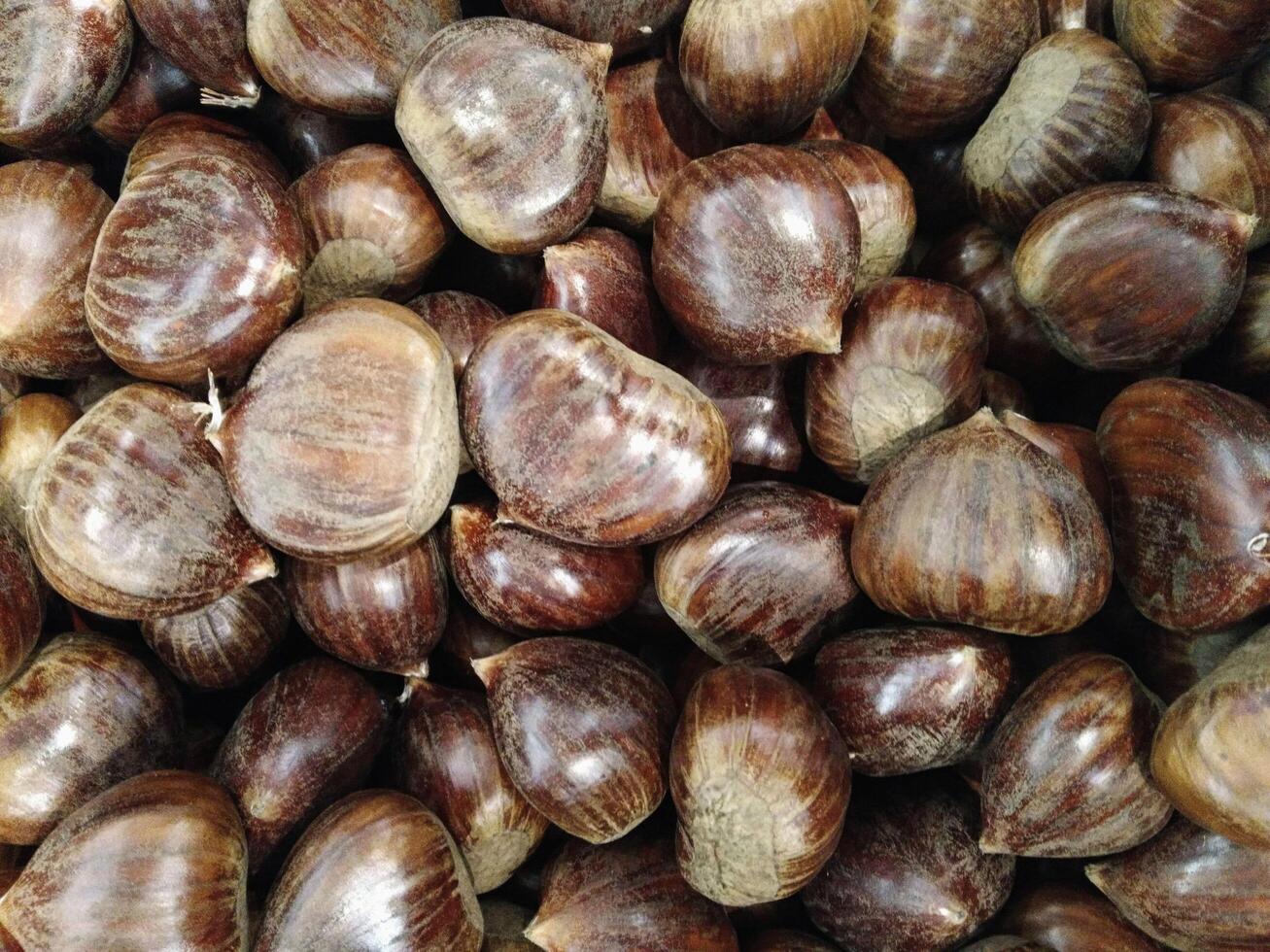 castagne in cucina foto