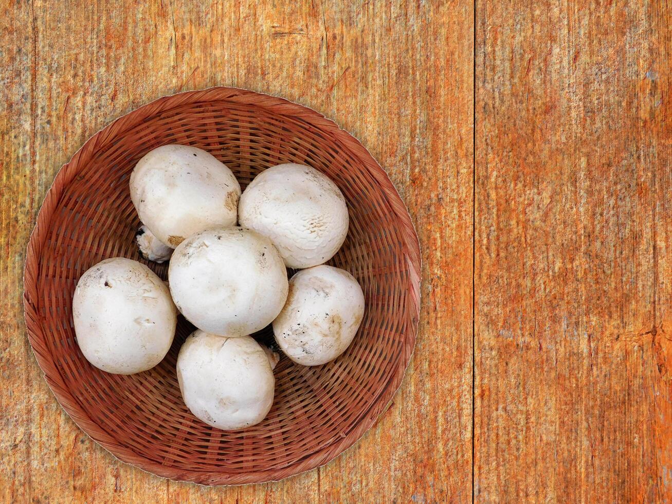 funghi sul fondo di legno foto