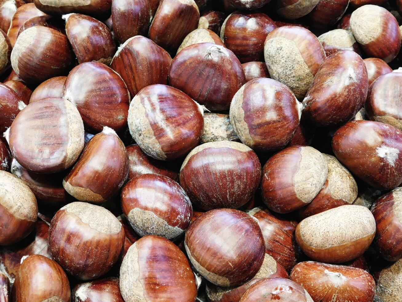 castagne in cucina foto