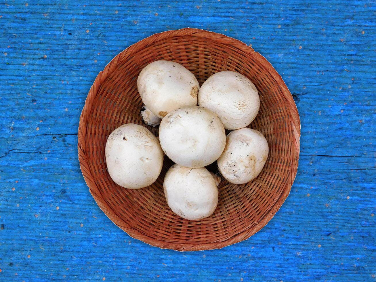 funghi sul fondo di legno foto