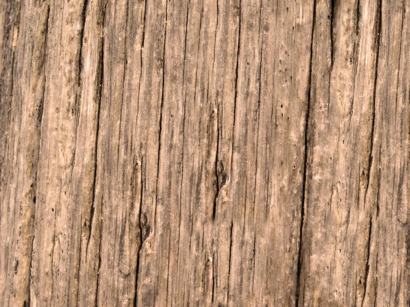 struttura di legno all'aperto foto