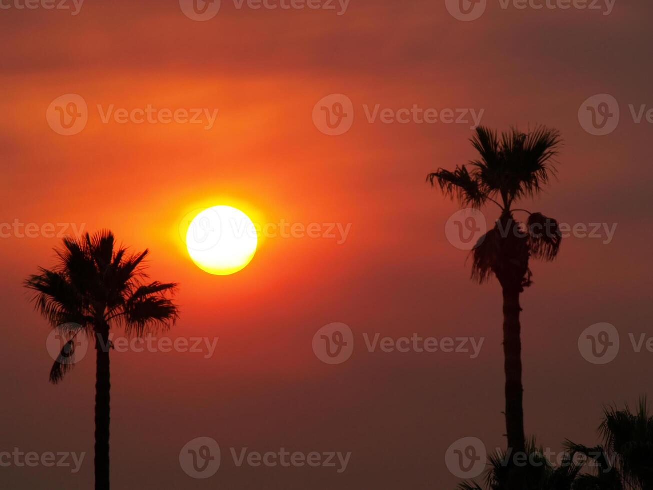 fumoso arancia cielo e sole con palma alberi foto