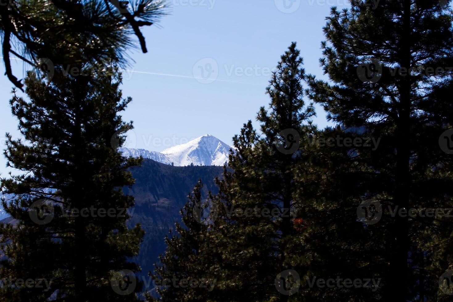 neve coperto montagna picco attraverso alberi foto