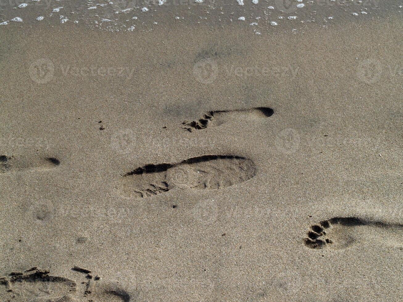 attraversamento impronte nel il sabbia foto