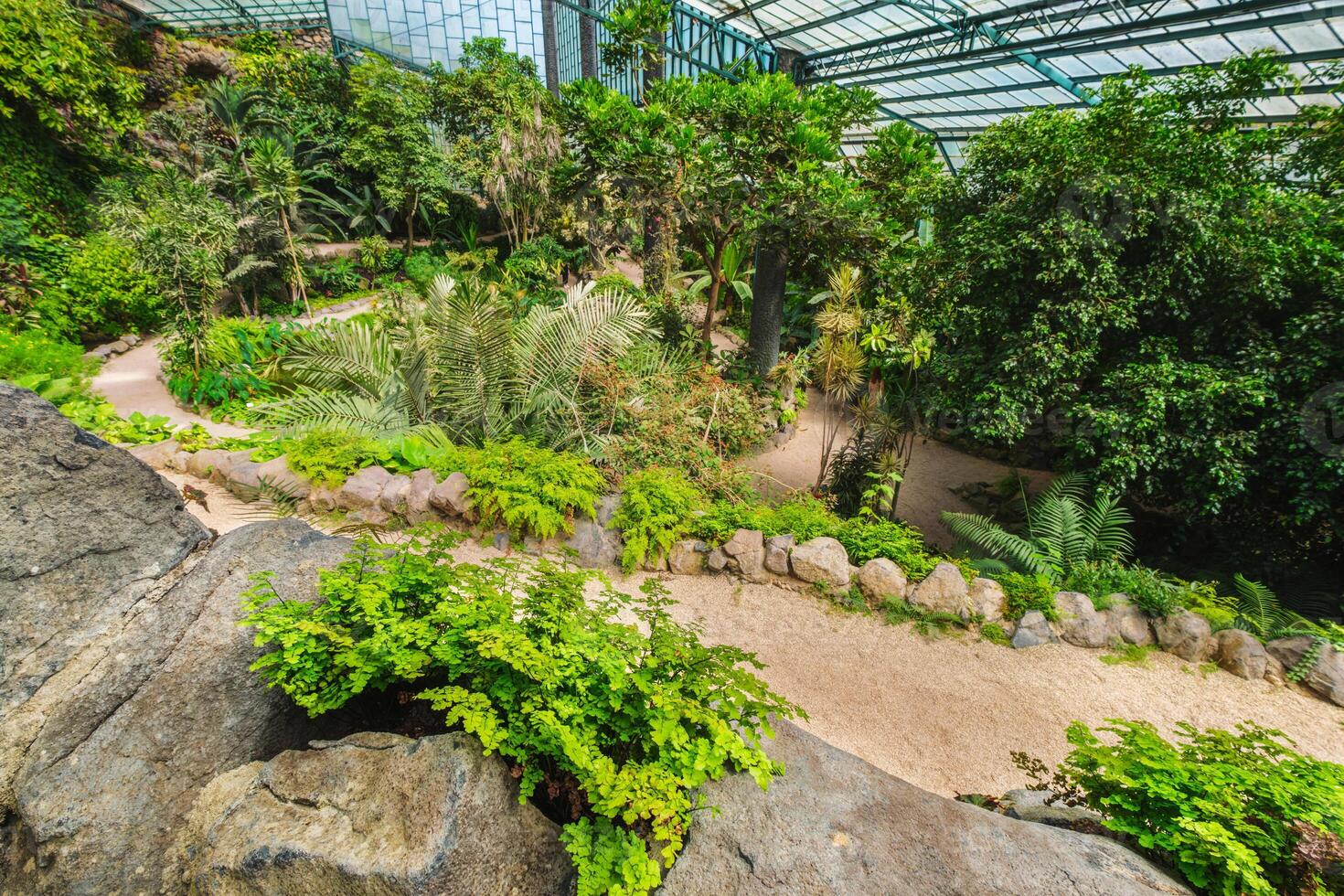 il freddo Casa estufa fria è un' serra con giardini, stagni, impianti e alberi nel Lisbona, Portogallo foto