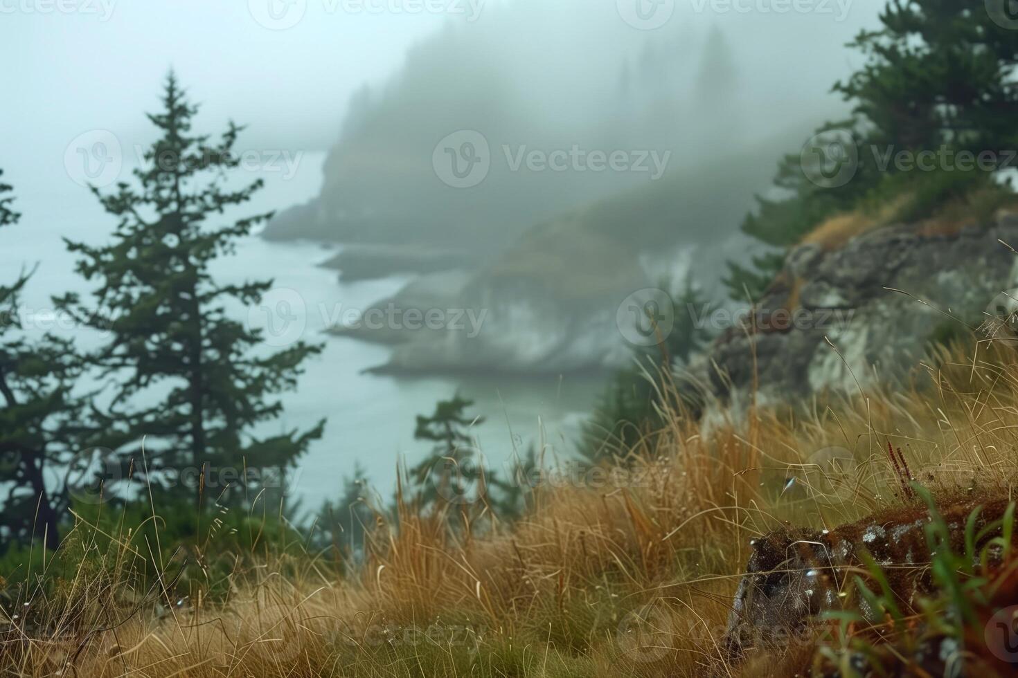 ai generato costiero piovoso paesaggio, nebbioso mattina su un' ripido banca, sfocato sfondo foto